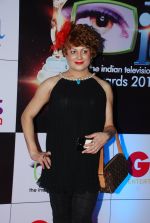 Bobby Darling at ITA Awards red carpet in Mumbai on 1st Nov 2014